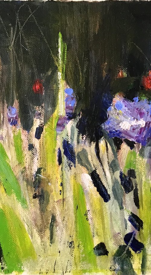 Cornflowers Study 3 by Sandra Haney