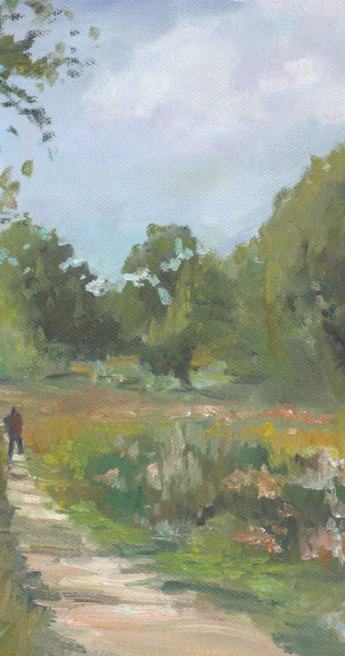 Eucalyptus near Tel Aviv by OLEG KAMAEV