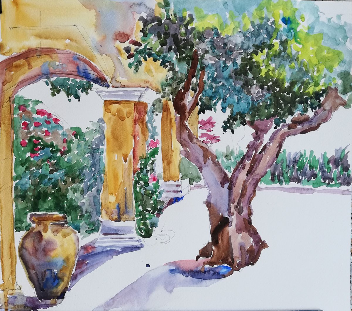 Old Olive Tree by Jelena Djokic