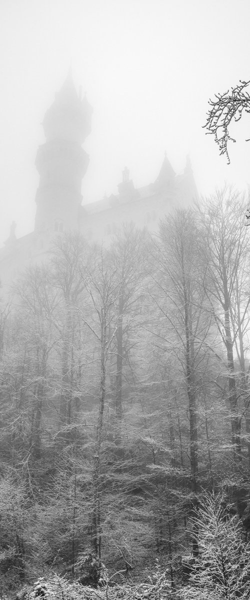 THE Neuschwanstein CASTLE by Fabio Accorrà