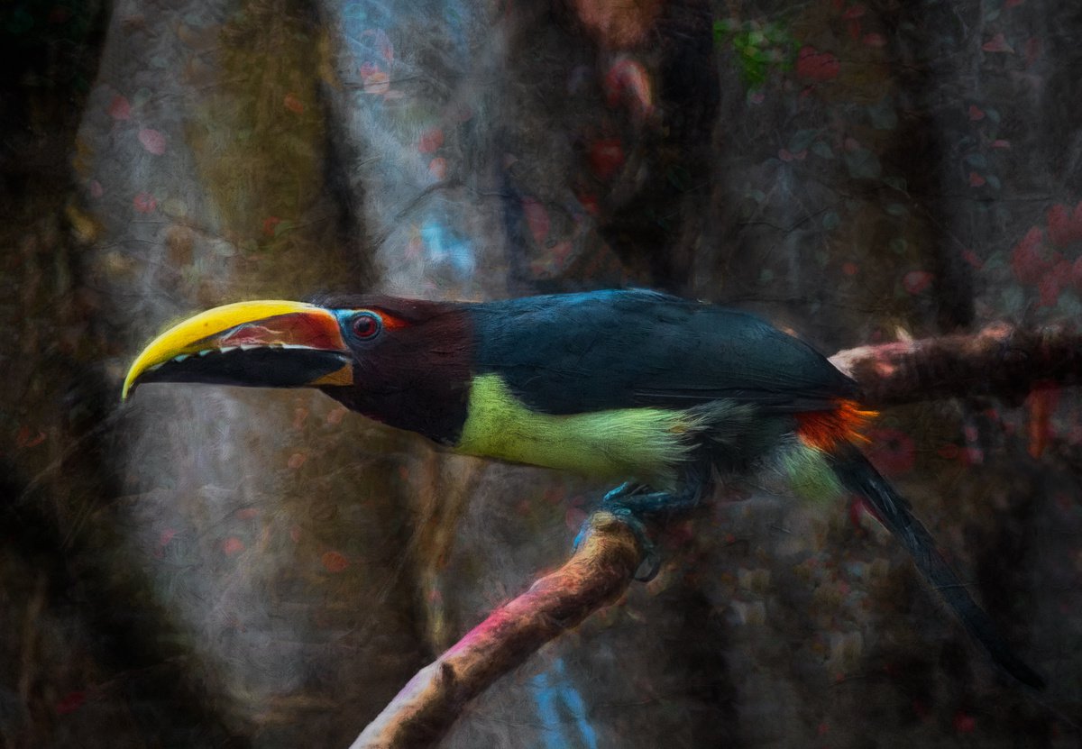 Impressionistic Animal Photograph By Paul Nash, 24 X 16", Acari Multi Textured, Original Artwork