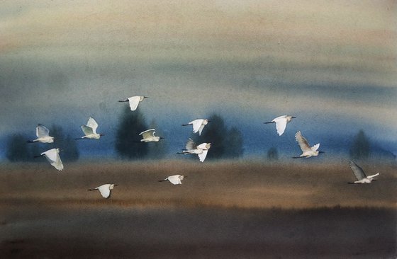 Flock of white herons -  Great White Egret - Cattle egret - Flock of Snowy Egrets flying - original watercolor landscape