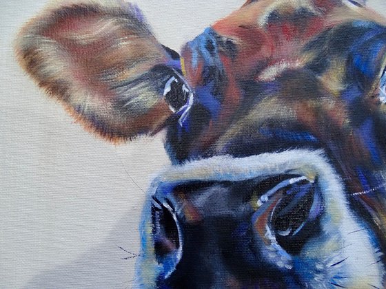 Well hello there!, a Jersey calf (cow) original oil painting Sophia