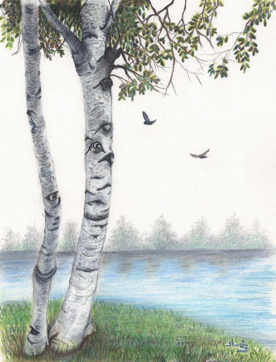 Riverside Birch Trees Colored Pencil Drawing by Shweta Mahajan