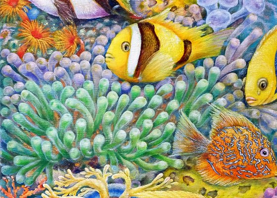 The Red Sea Reefs