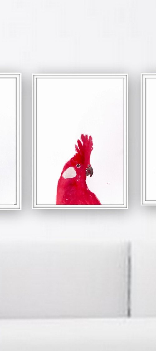 Birds by Nadia Moniatis