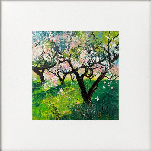 Orchard Series - First blossom by Teresa Tanner