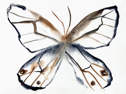 Butterfly Study No. 4 by Elizabeth Becker