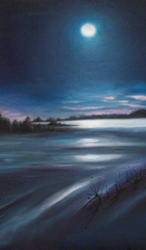 Winter Moonlight by Mila Moroko