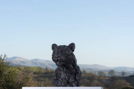 Leopard Portrait Bronze Resin