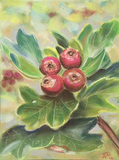 Berries by Agnes Daniels