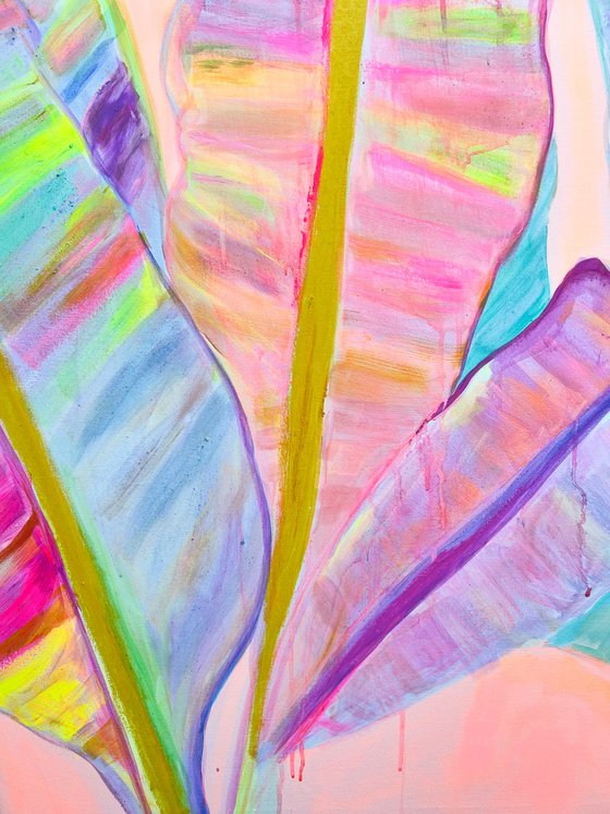 'Rainbow Banana Leaves II'