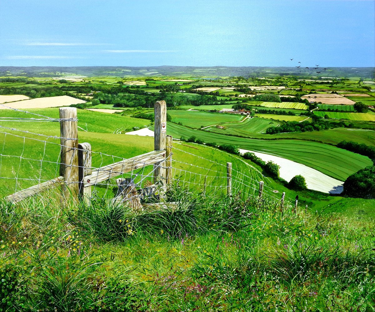 The Path Less Trodden by Paula Oakley