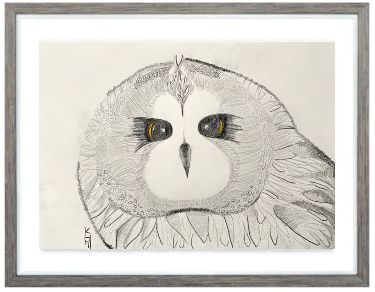 Owl Big Face / Bird Art / Animals & Birds / Animal Portrait / Owl Art / Bird Art / Black a... by Kumi Muttu