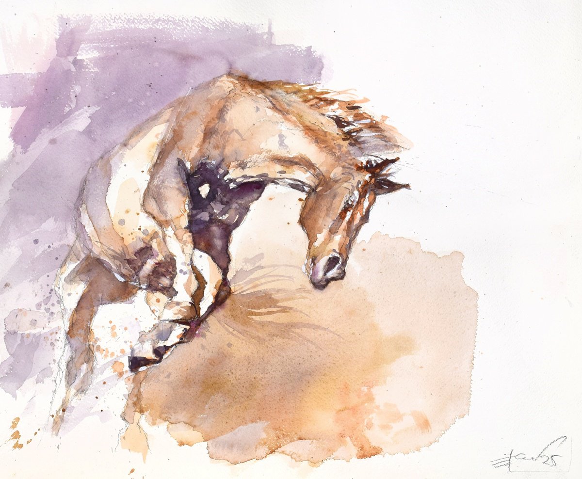 Expressive Animal Watercolour By Goran Zigolic Watercolors, 22 X 18, Wild Horse, Original Artwork