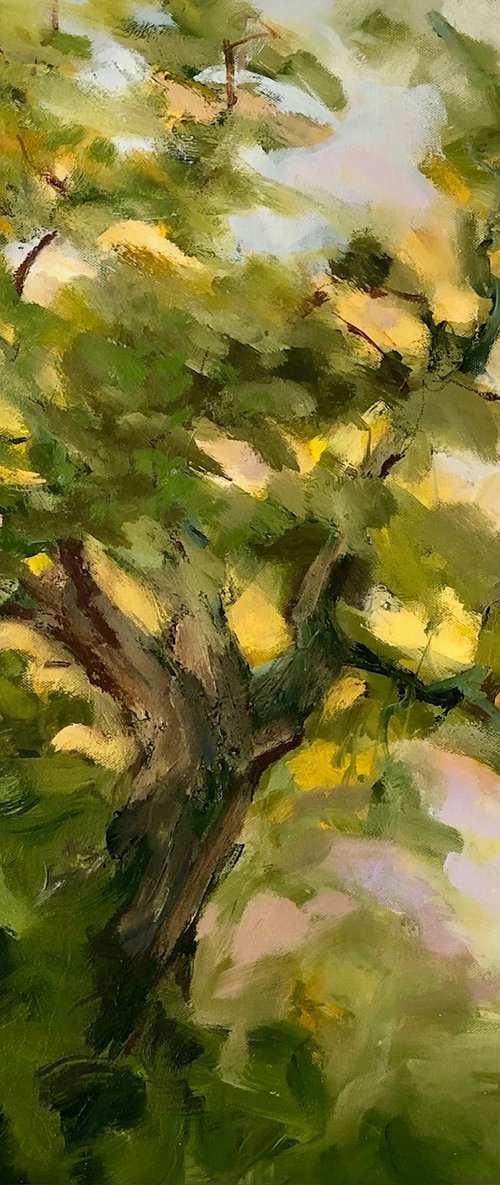 Sunset Oak by Joanna Farrow