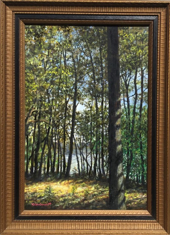 WOODS IN CHERRY PARK (SOLD)