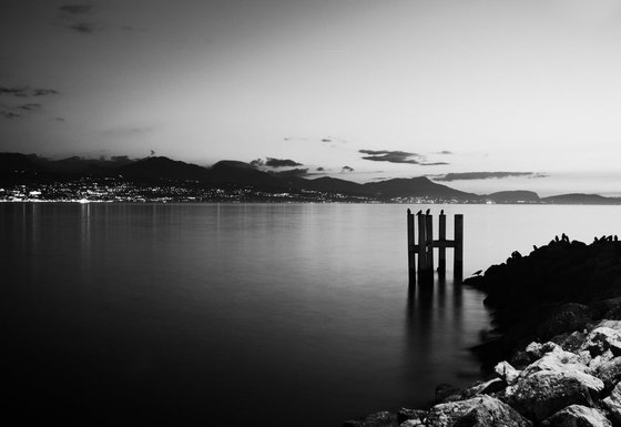 Crows at Lac Léman