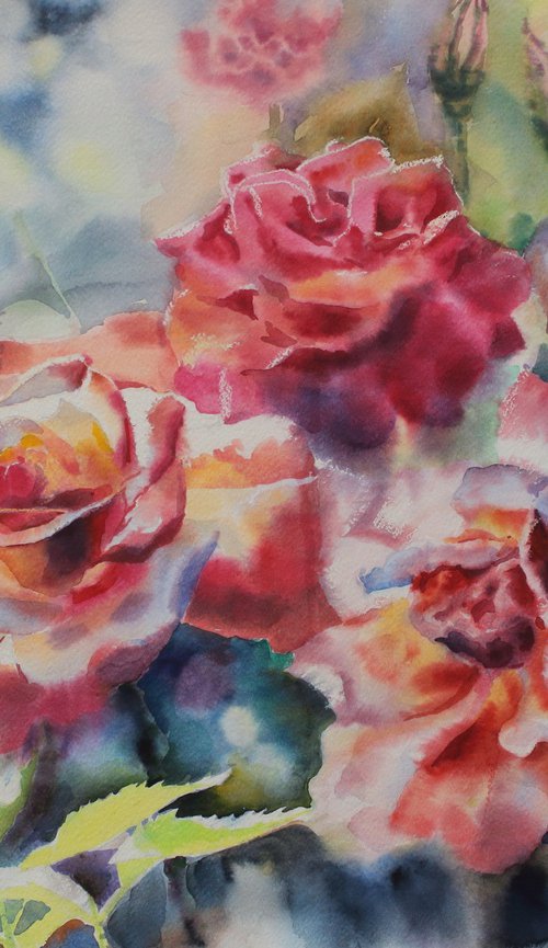 Roses#2 by Yurii Pashkov