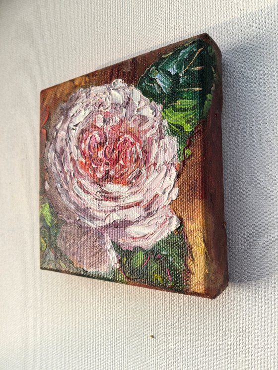 Pink rose original mini still life