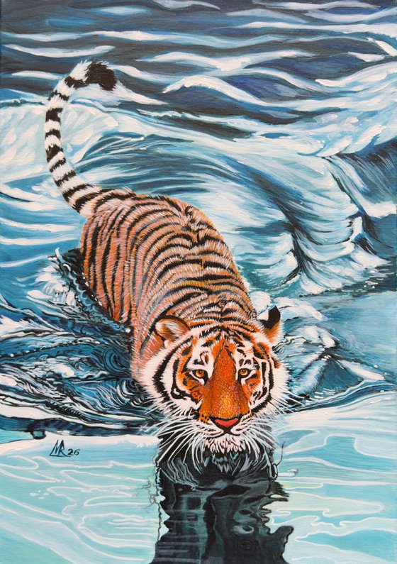 Tiger in the Blue Current