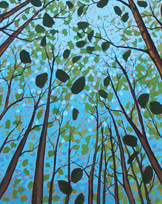 Canopy