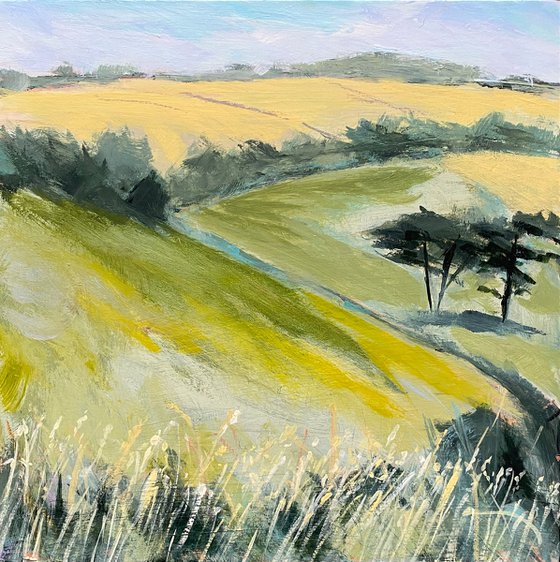 Late Summer Fields
