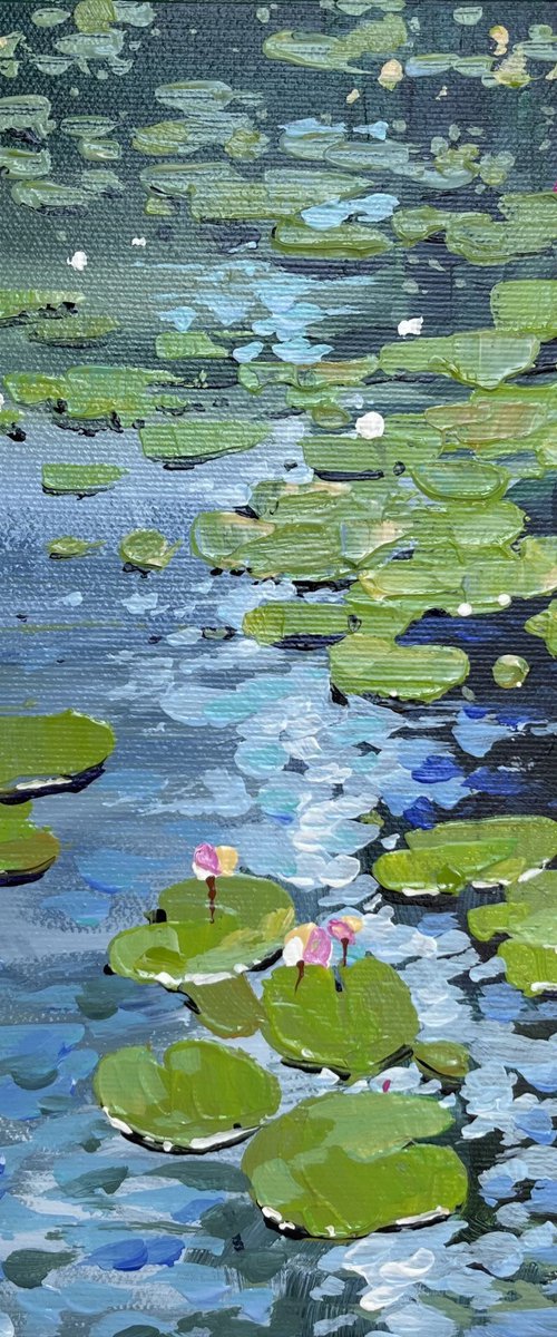 Water lilies. At the bank in the shade by Yevheniia Salamatina