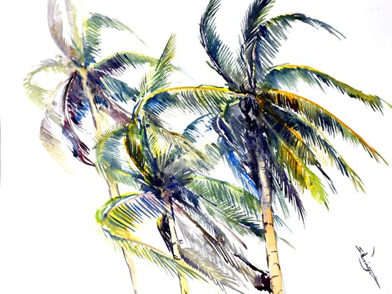 Wind on the Beach, Coconut Palm Trees