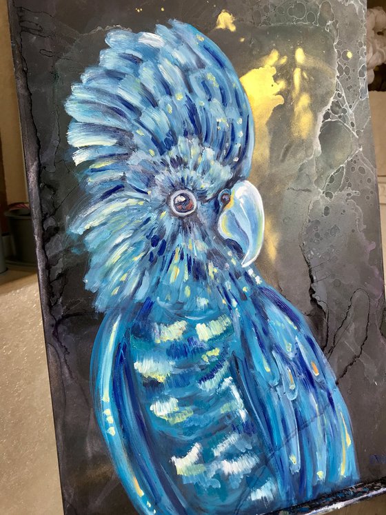 Blue parrot