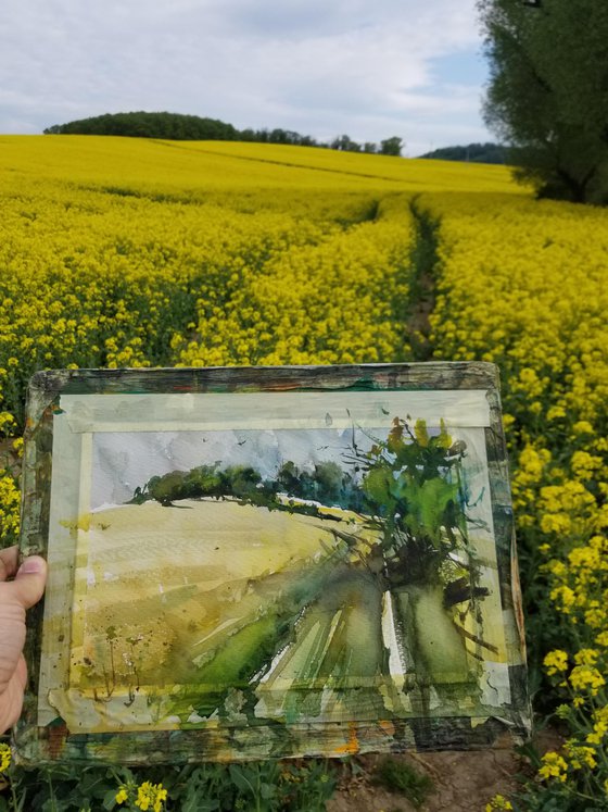 Yellow Fields