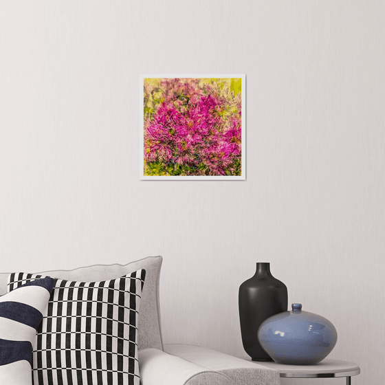 Abstract Flowers #8. Limited Edition 1/25 12x12 inch Photographic Print.