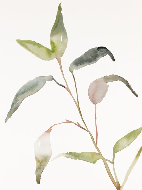 Plant Study No. 102 by Elizabeth Becker