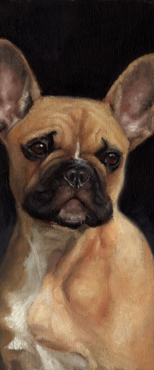 French Bulldog by Kate Oleska