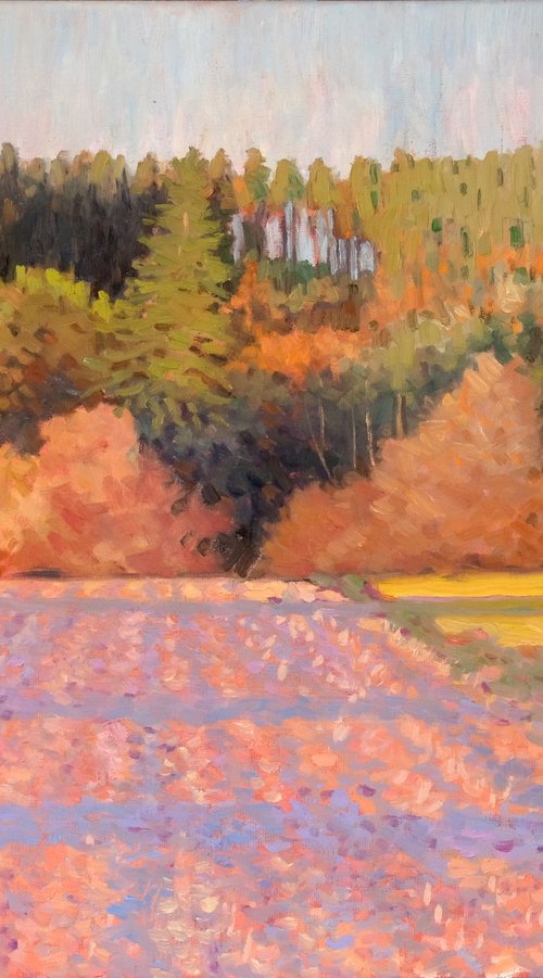 The last rays of sunshine by Richard Mierniczak