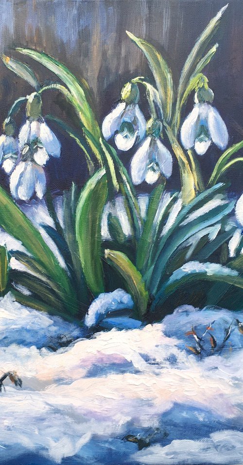 Snowdrops 5 by Elena Sokolova