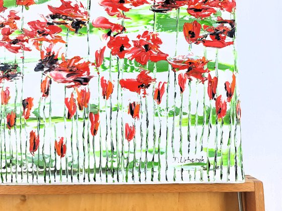Flora Poppies 5