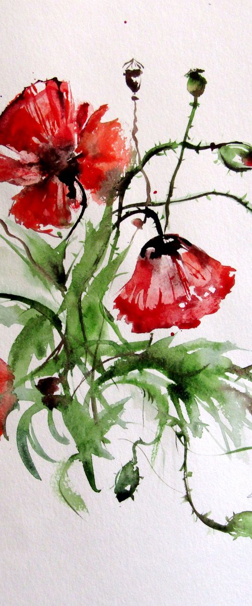 Summer poppies by Kovács Anna Brigitta