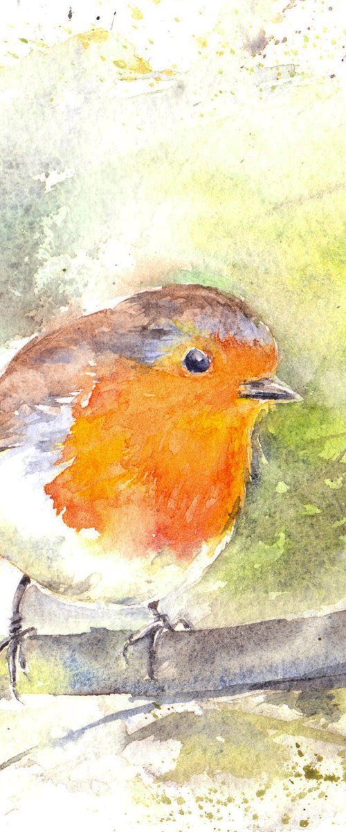 Robin by Anjana Cawdell