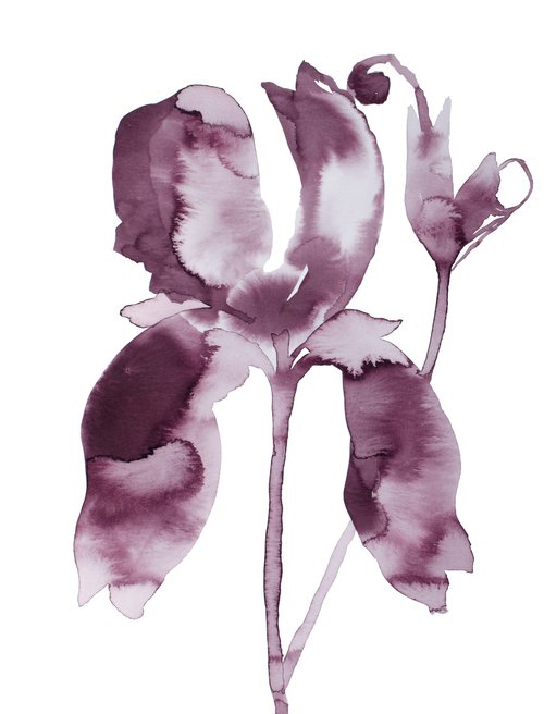 Iris No. 199 by Elizabeth Becker