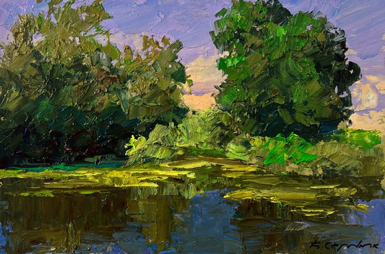 Trees near the Pond