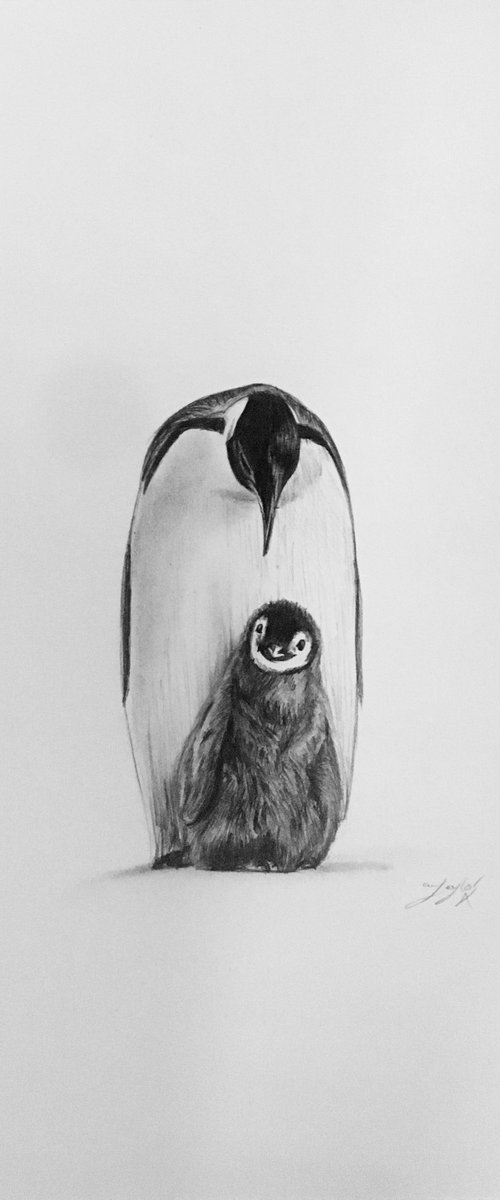Penguin and chick by Amelia Taylor