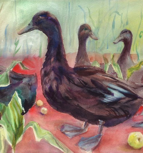 Ducks in apples by Irina Bibik-Chkolian