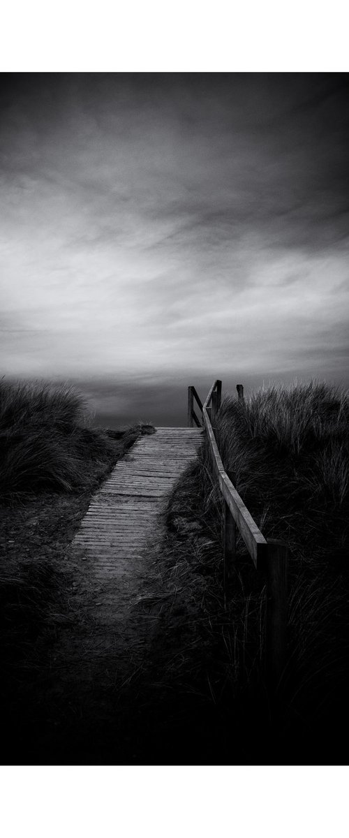 Along the boardwalk by David Baker