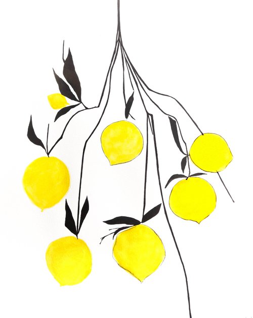 Lemons by Nadia Moniatis