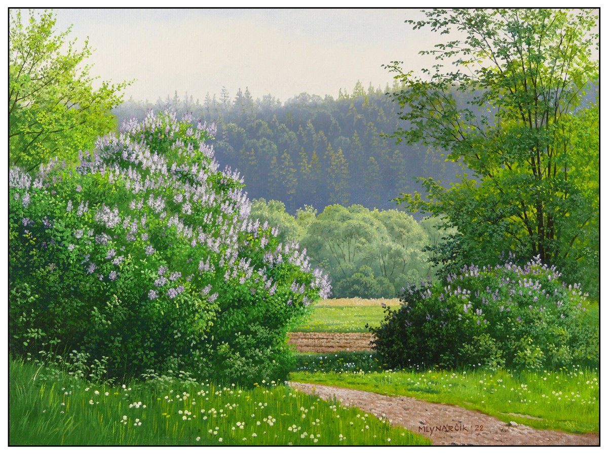 Blooming spring meadow by Mlynarcik Emil