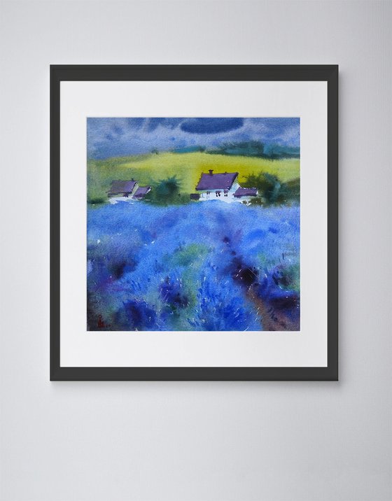 "Provence"