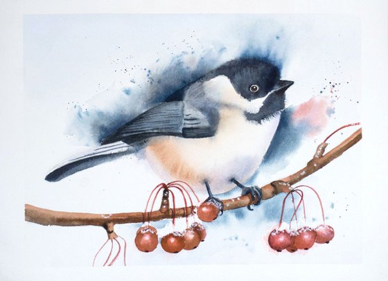 Chickadee bird