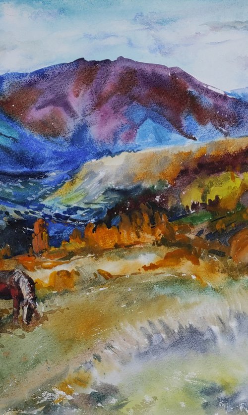 Carpathians - landscape of Ukraine, mountains, autumn by Tetiana Borys