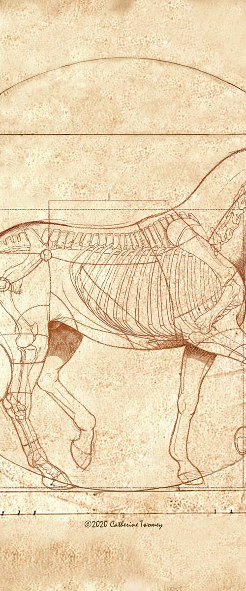 DaVinci Horse: The Piaffe Revealed Limited Edition Print by Catherine Twomey